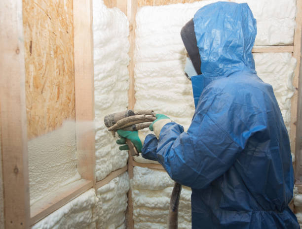 Types of Insulation We Offer in Louisburg, KS